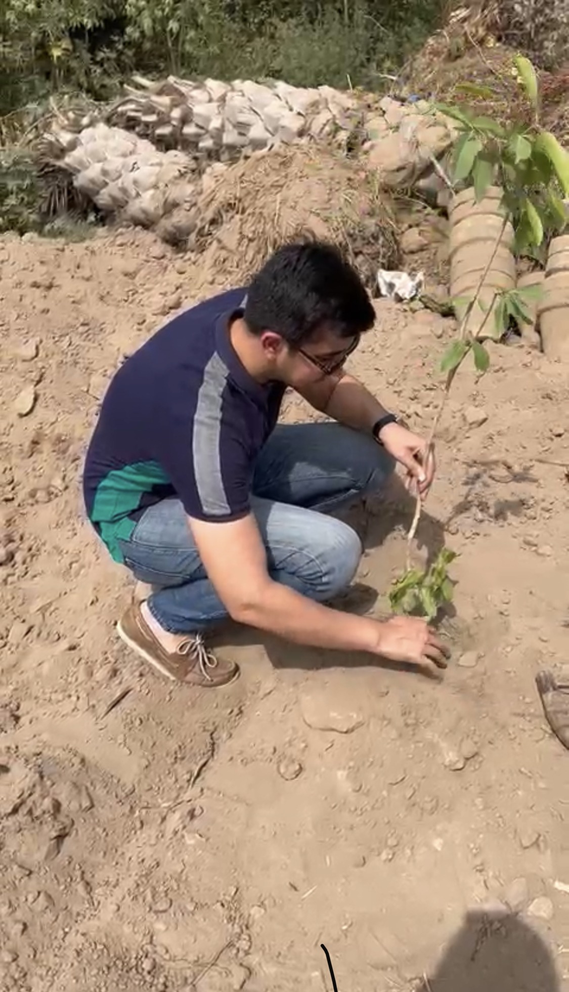 Hexabax Team’s Green Commitment: Planting Trees for a Better Tomorrow